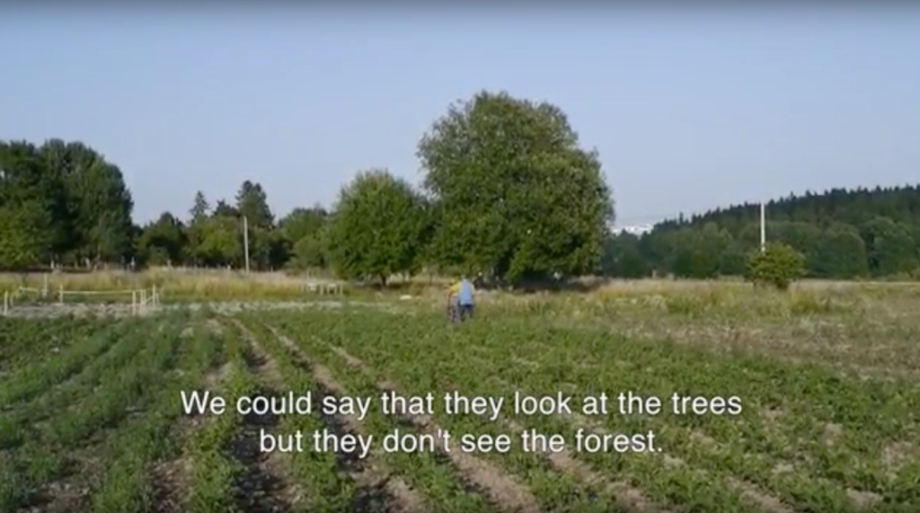 twohectares